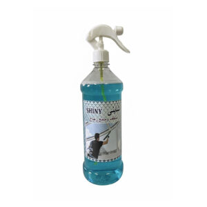 Shiny Glass Cleaner and Polish